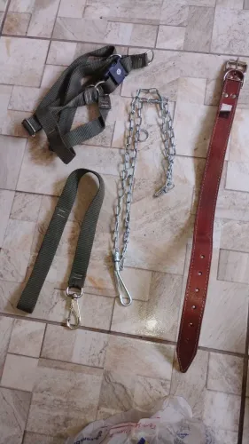Corrente para passear com Dog