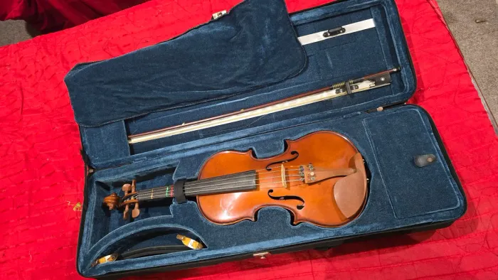 Violino Eagle Ve 441