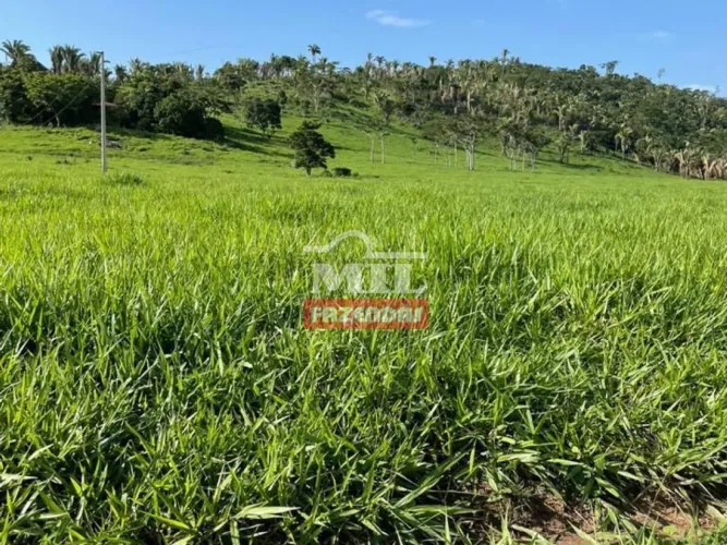 Fazenda em Novo Progresso-PA. . 4.854 Hectares. (Melhor da Região).