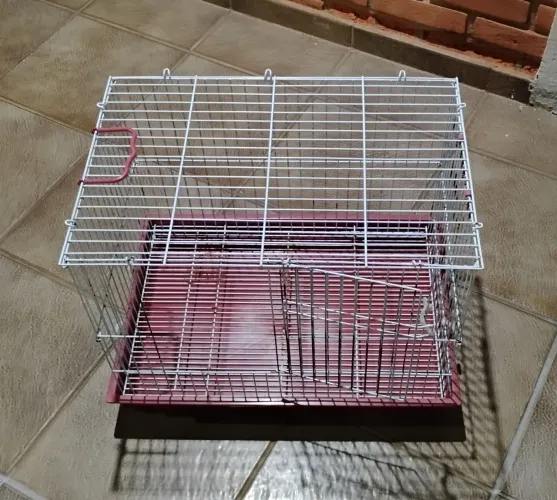 Gaiola