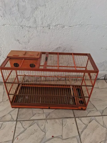 Voadeira canario da terra 60 de comprimento
