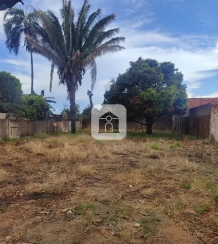 Terreno Plano, Murado e com Portões Próximo à Avenida Minas Gerais