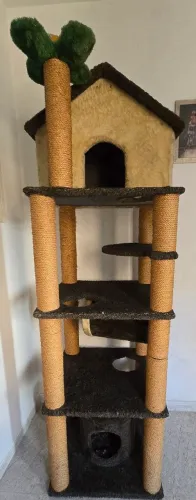 Arranhador para gatos de 2m
