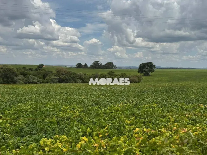 Fazenda à venda, 2.904.000 m² por R$ 39.600.000 - Zona Rural - Itapeva/SP