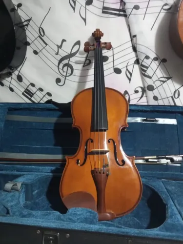 Violino Eagle VE441 4/4 completo, excelente estado