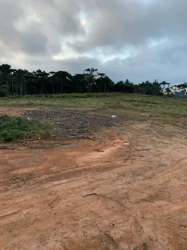 Terreno plano no no Bairro Lençol - São Bento do Sul SC