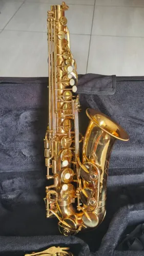 Saxofone Alto Shelter