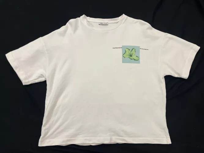 Blusa Oversized Box da ZARA