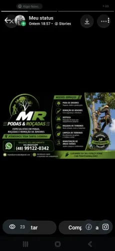 Jardinagem e podas em geral