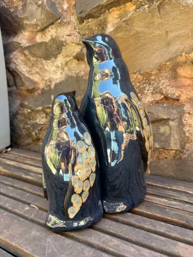 Par pinguim azul