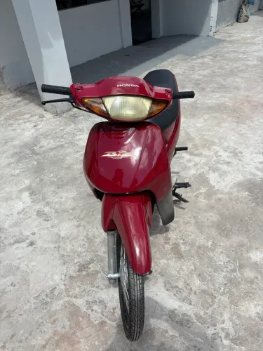 Biz ano 2003 de leilão
