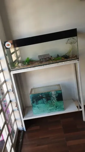 Vende aquário