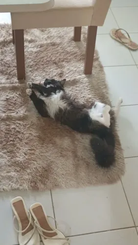 locação