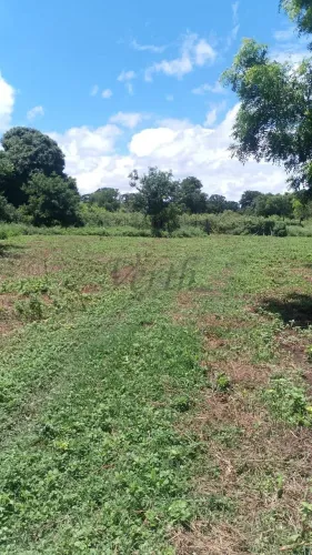 fazenda - Centro - Campo Azul