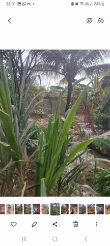 Chácara perto clube aguas corrente e chifrudo 