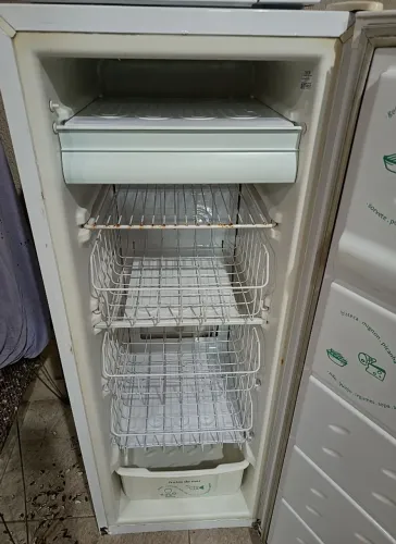 Vendo freezer vertical
