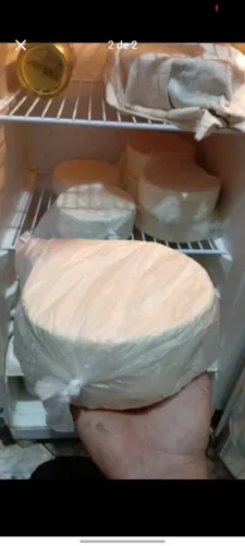 Queijo frescal