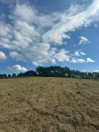 Lotes de 1000 metros cercados pela Natureza em Mairinque