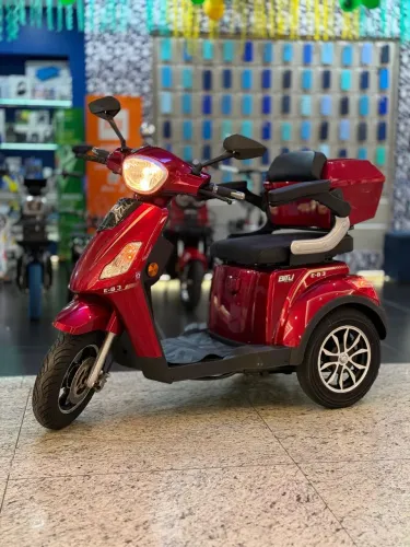 Triciclo elétrico E-B3 Bitu 800w