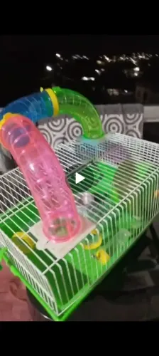 Gaiola hamster verde