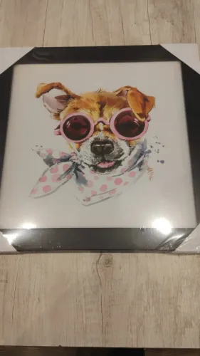 Quadro cachorro 30 x 30 moldura laqueada preta