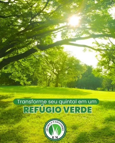 Grama Esmeralda Verde Intensa Produto Premium 