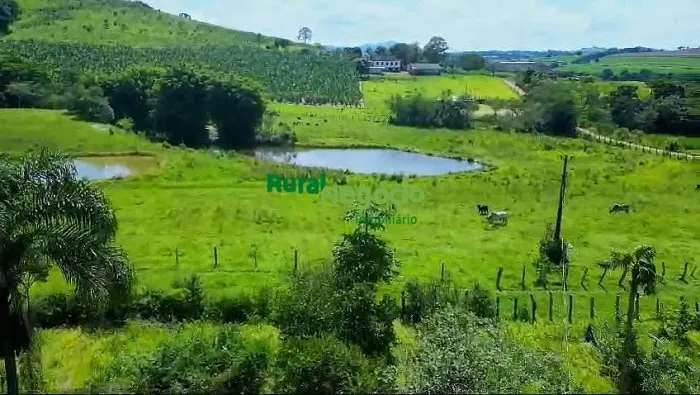 FAZENDA COM BELA TOPOGRAFIA EM CONCEIÇÃO DOS OUROS-MG