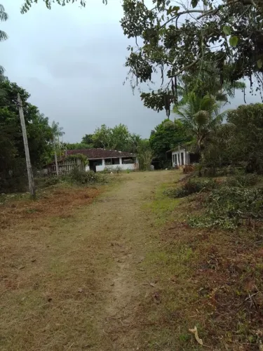 Vendo terreno com 6.908,57m2 na Mário Covas- Coqueiro- Belém