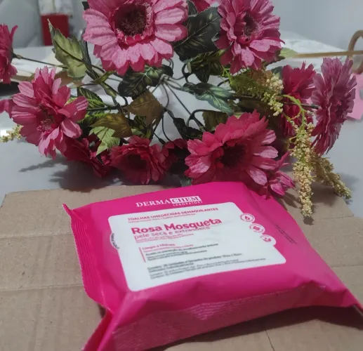 Toalhas Umedecidas Demaquilantes Rosa Mosqueta - Dermachem