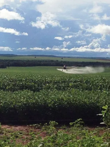 Fazenda 44 mil hect 24 mil aberto 12.750hect irrigado 4 bilhões. Pego ouro e diamantes