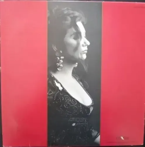 LP-Disco vinil-Zizi Possi-Sobre todas as coisas-1991-Com encarte
