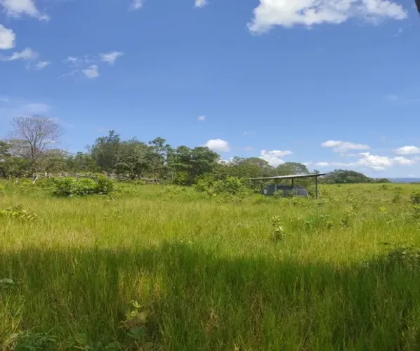 Fazenda de 1.102,16 hectares em Almas com aptidão para Lavoura Soja ou gado