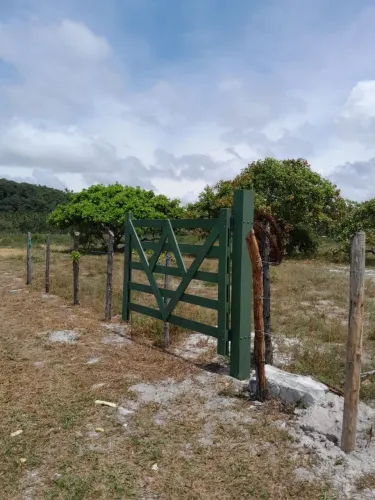 Vendo lotes no Povoado Flexeiras em Santo Amaro das Brotas