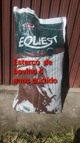 Esterco bovino 4 anos curtido 