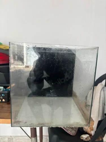 Aquário com sump