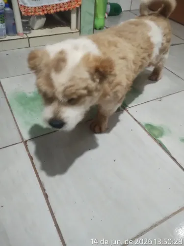 Doação 