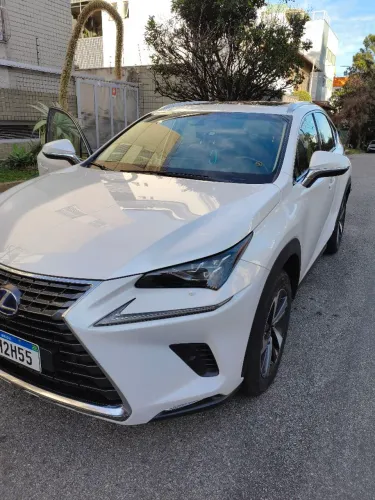 Lexus NX-300 H Luxury 2.5 16V Aut. 2019