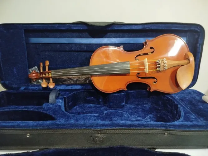 Violino Eagle VE441 4/4 - Completo