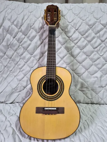 Cavaquinho Rozini elétrico 