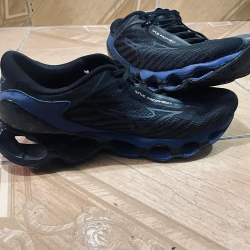 Mizuno prophecy 13