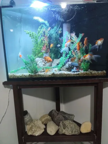 Aquário com móvel 