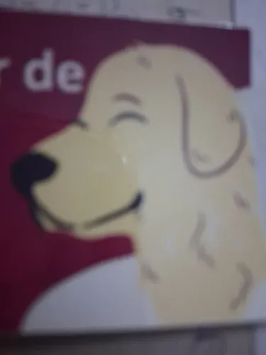 Passeador de cães.