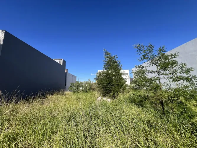 Terreno Comercial 200m² Bairro Igara - Canoas