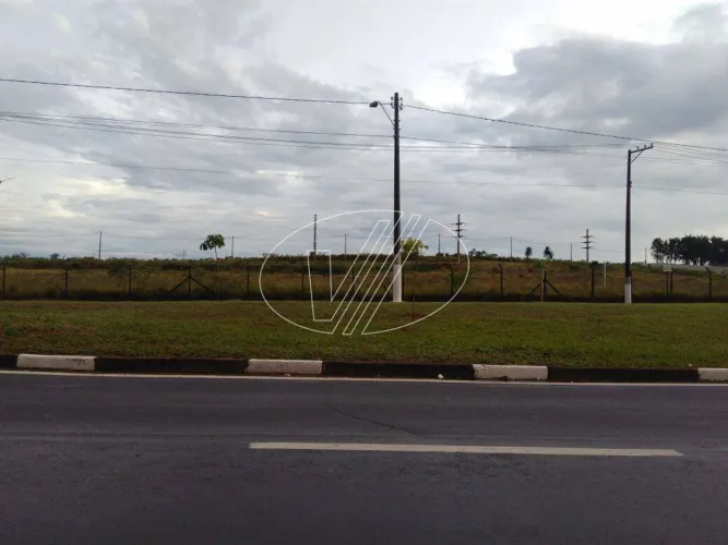 área - Vila Brandina - Campinas