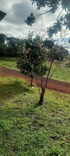 Chácara venda em Quitandinha.