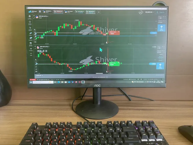 Monitor