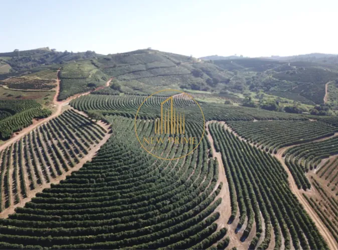 Fazenda à venda, 10 quartos, 2 suítes, 10 vagas, Centro - Caconde/SP
