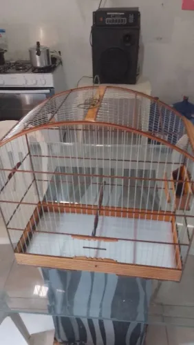Gaiola de inox para bigodinho 