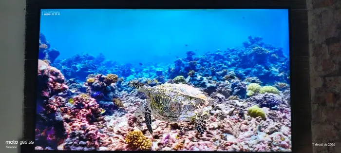 Tv 49 4k com umas linhas na parte inferior da tela