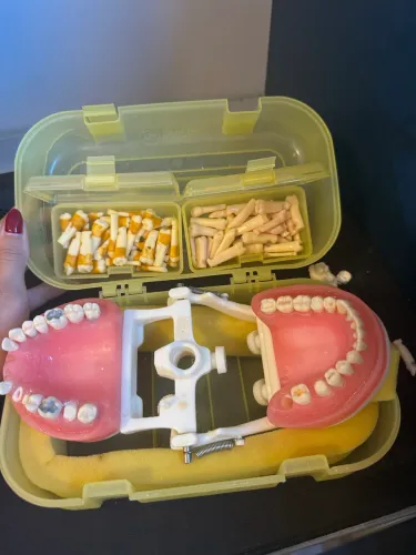 Manequim odontológico pronew